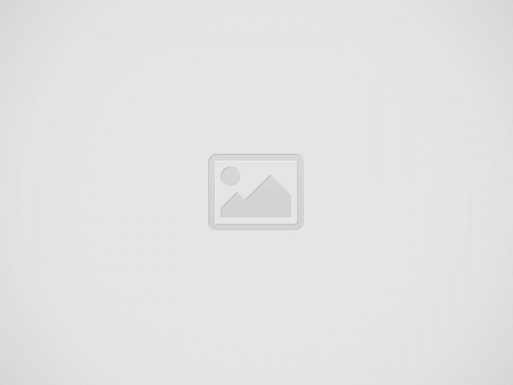 Business Report Template
