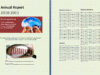 Annual Report Template