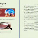 Annual Report Template