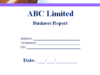 Business Report Template