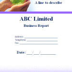 Business Report Template