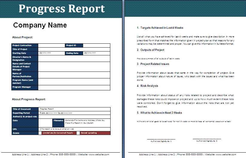 Progress Report Template