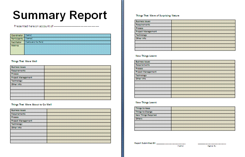writing a project summary report