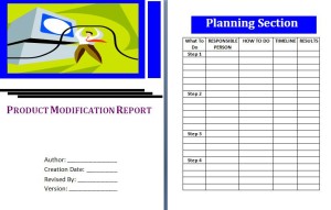 report template modification development