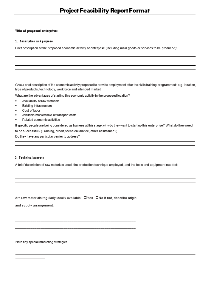 Project Feasibility Report Format